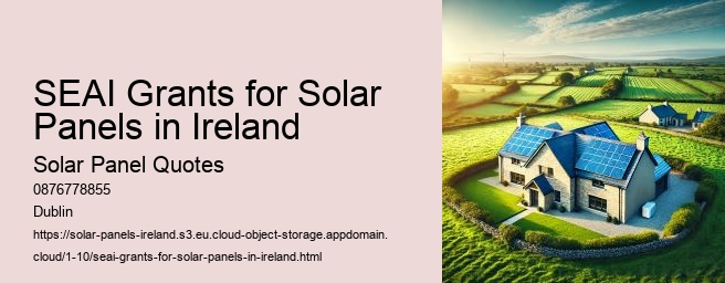 Government Grants and Incentives for Solar Panels in Ireland