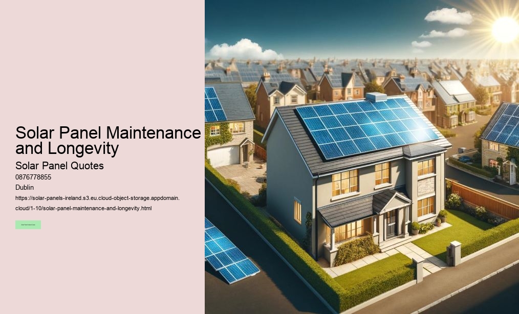 The Role of Roof Size and Orientation in Solar Panel Costs