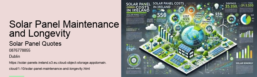 Understanding Solar Panel Costs in Ireland